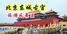 女用的鸡巴。看视频。中国北京-东城古宫旅游风景区